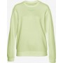 REPLAY Sweatshirt in pastellgelb / hellgrün